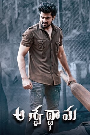 Aswathama 2020 (Hindi – Telugu) Dual Audio 340MB Movie Poster