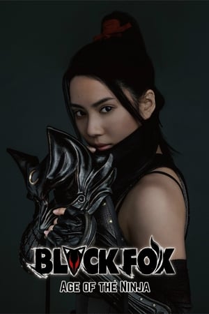 Black Fox: Age of the Ninja 2019 Hindi Dual Audio – Movie Poster