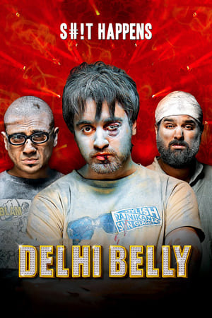 Delhi Belly 2011 Full Movie [300MB] Movie Poster
