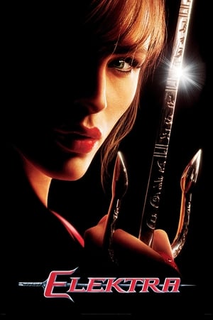 Elektra 2005 100mb Hindi Dual Audio movie Download Movie Poster
