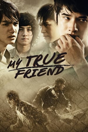 Friends Never Die (2012) Hindi dual Audio 340MB Movie Poster