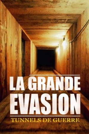 GREAT ESCAPE (2018) Hindi Dubbed [650MB] Movie Poster