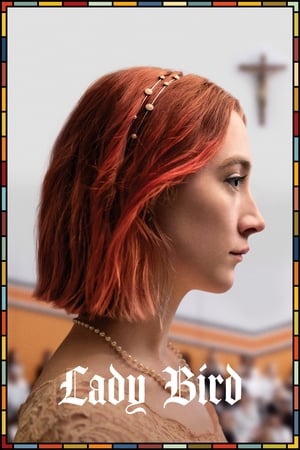 Lady Bird 2017 Hindi Dual Audio 300MB Movie Poster