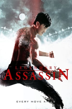 Legendary (2013) Hindi Dual Audio [1GB] Movie Poster