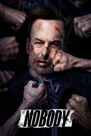 Nobody (2021) Hindi Dual Audio – – Movie Poster