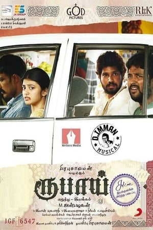 Rubaai (2017) Hindi Dual Audio 400MB Movie Poster