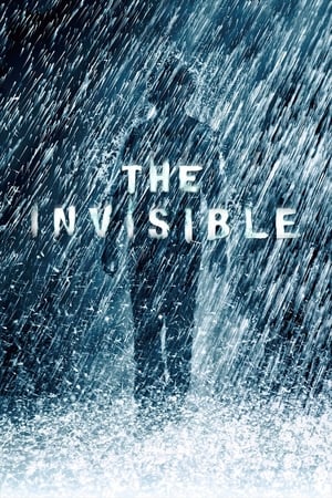 The Invisible 2007 Hindi Dual Audio Movie - 850MB Movie Poster
