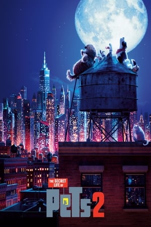 The Secret Life of Pets 2 (2019) Hindi (Original) Dual Audio 300MB Movie Poster
